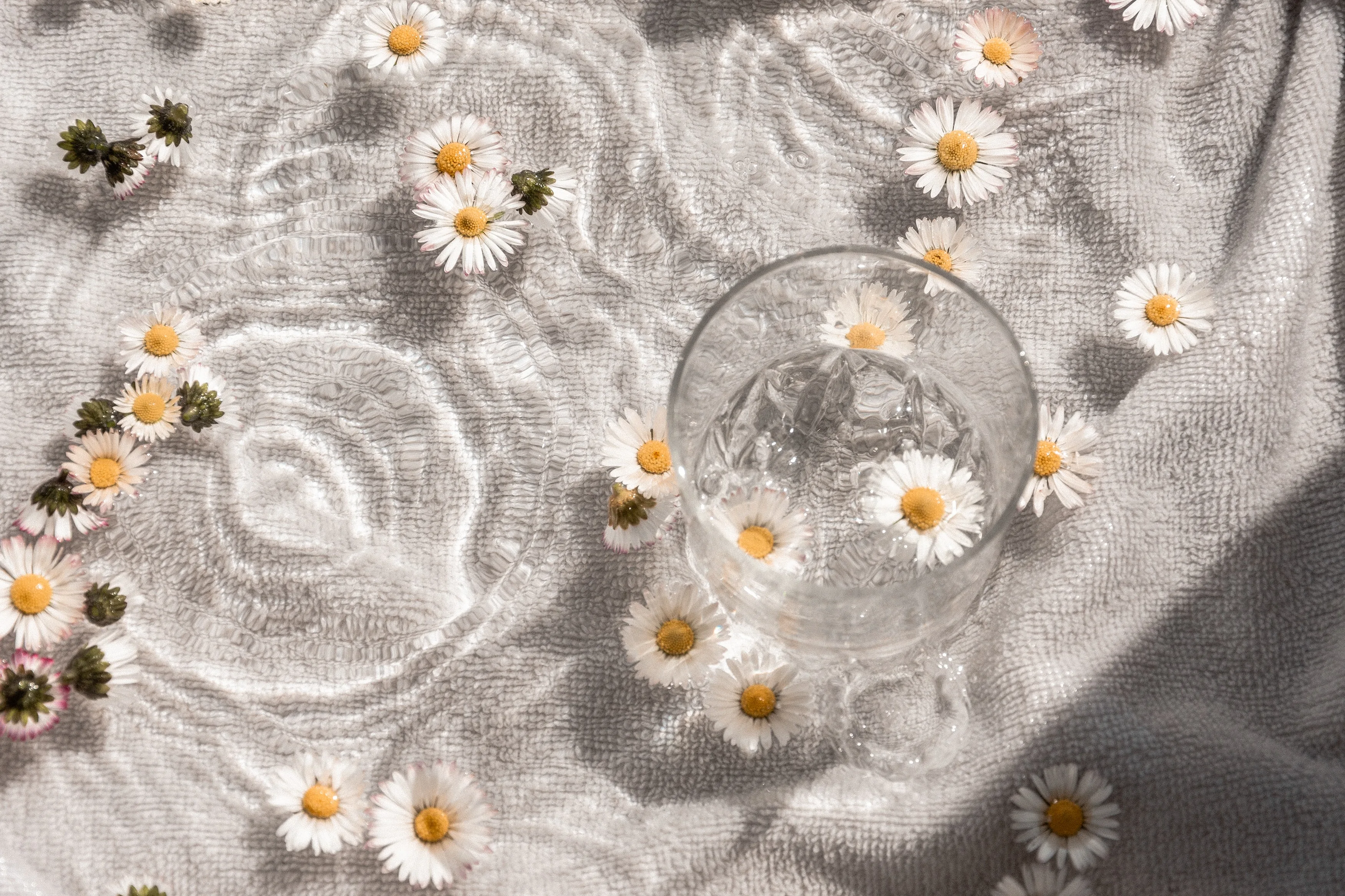 Glass of water and daisies — Brows By Liz studio atmosphere